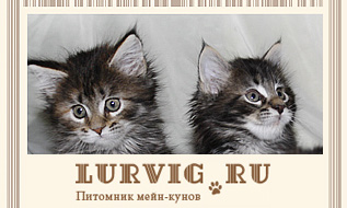 �������� Lurvig.ru �����������